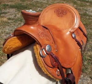 3B modified for horn cap concho