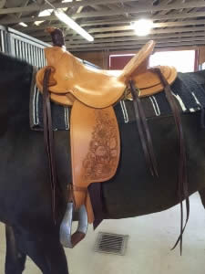 3B saddle on the horse